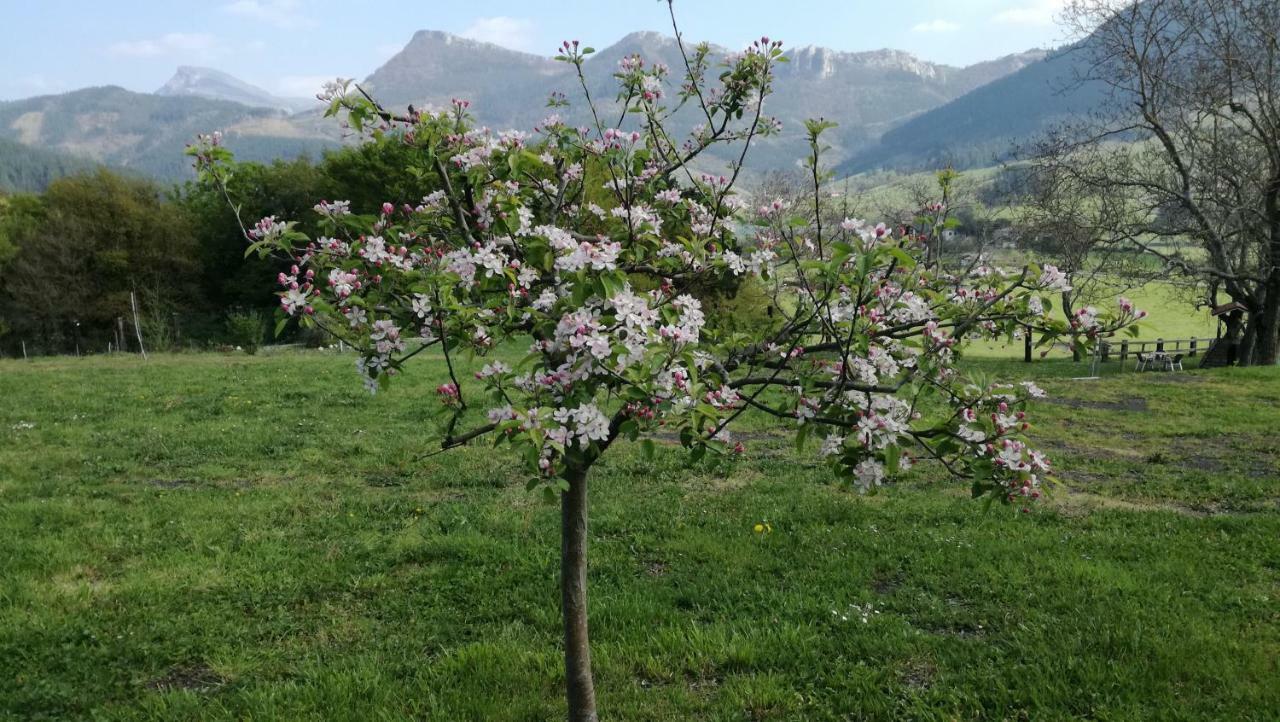 Casa Rural Urkulu Landetxea Arechavaleta 외부 사진